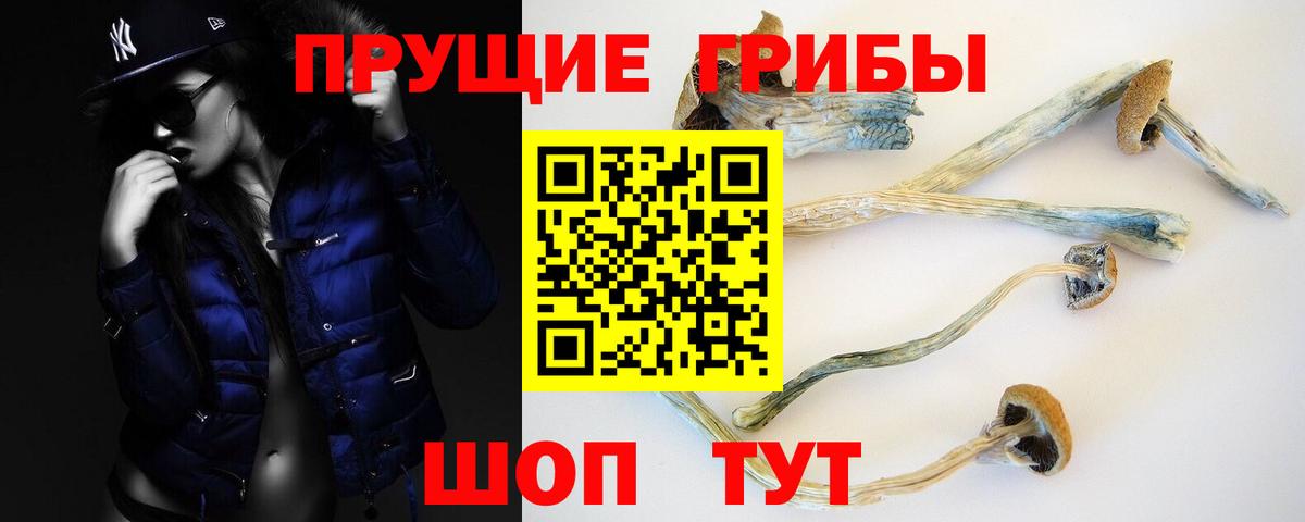 Ступино  Галлюциногенные грибы прущие грибы  купить наркотик  Вход с VPN 